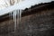 Large icicles at the edge of the roof. Winter, ice and snow