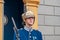 A large image of a security guard outside a guard box on the grounds of the royal palace in Stockholm