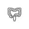 Large Intestine line icon