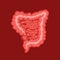 Large intestine, part of the digestive system. Vector Illustration of colon Icon