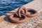 Large iron rings for mooring ships