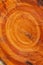 Large irregular tree cut in a circular circle pattern on wood texture background. The texture of colored wood logs cut. Wood