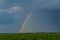 Large irrigation system in a green field, with a beautiful rainbow forming in the spray against a backdrop of cloudy skies