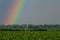 Large irrigation system in a green field, with a beautiful rainbow forming in the spray against a backdrop of cloudy skies