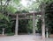 Large Japanese Torii Gate to the Garden