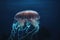 a large jellyfish floating in the water with a dark background