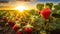 Large juicy strawberries under the bright sun on a strawberry plantation