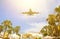 Large Jumbo jet between palm trees above the resort`s rooftops in the sun. Bright open concept beach season and the rest of the