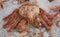 A large Kamchatka crab lies on the crushed ice next to scallops, shrimps and sea fish. Healthy seafood is prepared for sale.