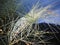 Large knot tied in green vegetation in Andalusian countryside