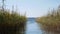 Large lake with a path of water with reeds