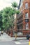 Large late Victorian blocks of mansion flats on Elgin Avenue, London