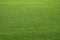 The Large lawn, Grass field, Grass texture background. Grass surface for product display arrangement. Green Background,