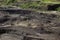 Large limestone quarry in Clitheroe, Ribble valley. Excavators and trucks working