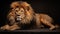 a large lion laying down on a black surface with a black background. generative ai