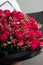 A large lush bouquet of red garden roses and buds in black wrapping paper, a stylish