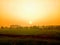 Large lush rice fields and eucalyptus trees line the ridge  During the morning sunrise  Orange yellow light.