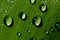 Large macro photo water drops close up extremely