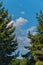 Large majestic green spruce against the blue sky with white clouds