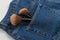 Large makeup brushes in a pocket of blue jeans. Concept, commercial work of a makeup artist, for printing business cards and