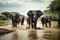 Large Male African Elephants Walking Through Muddy Water, created with Generative AI technology