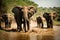 Large Male African Elephants Walking Through Muddy Water, created with Generative AI technology