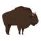 A large male European bison Bison bonasus stands sideways.