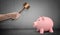 A large male hand holding a judge gavel stills above an intact piggy bank on concrete background.