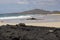 Large male marine iguana seen crawling unto lava rocks with beautiful sand beach and mountain in the background