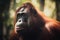 a large male orangutan in its natural habitat in the rainforest on the island of Borneo. ai generative