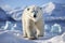 Large male polar bear on Arctic tundra