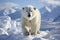 Large male polar bear on Arctic tundra