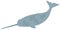 Large marine mammal, whale with long horn. Narwhal, dangerous ocean animal, predatory fish