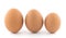 Large, medium and small chicken egg.