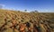 Large meteorite crater at the outback Australia â€“ Wolf Creek crater with spinifex grass and boulders and blue sky as background
