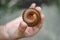 A large millipede was held in his hand and curled up