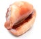 A large mollusk shell of red-brown color, bottom view on an isolated background