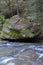 Large mossy boulder with a tree growing out of it