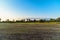 Large mown meadow in front offorest