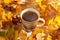 Large mug of hot steaming coffee among bright yellow and red autumn leaves in the sunlight