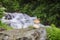 Large mushroom grows near the mountain river