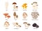 Large Mushroom set of vector illustrations in flat design isolated on white. Cep, chanterelle, honey agaric, enoki