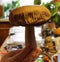 A large mushroom specimen from the Polish forest