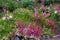 A large number of different flowers in the flowerbed in the park.