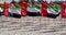 A large number of flags of the United Arab Emirates