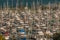 A large number of yachts in the marina, Gulf Harbour, Auckland, New Zealand