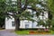 Large oak on the lawn in front of a two-story mansion