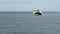 Large ocean ferry catamaran of yellow-white color moves on the water surface of the ocean