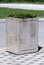 Large old concrete outdoor flower pot filled with low growing dense green plants on top of stone tiles at local graveyard