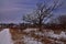 Large old oak tree along the trail at Donald County park wi